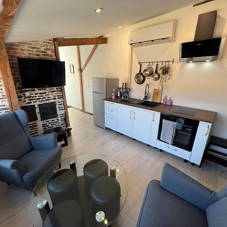 Bellevue Appartement Sous Les Toits Hypercentre Climatise Dole Kültér fotó