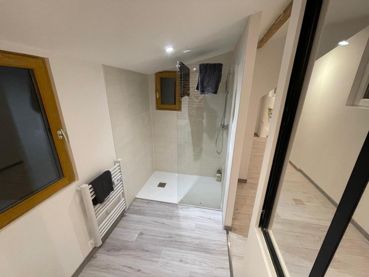 Bellevue Appartement Sous Les Toits Hypercentre Climatise Dole Kültér fotó
