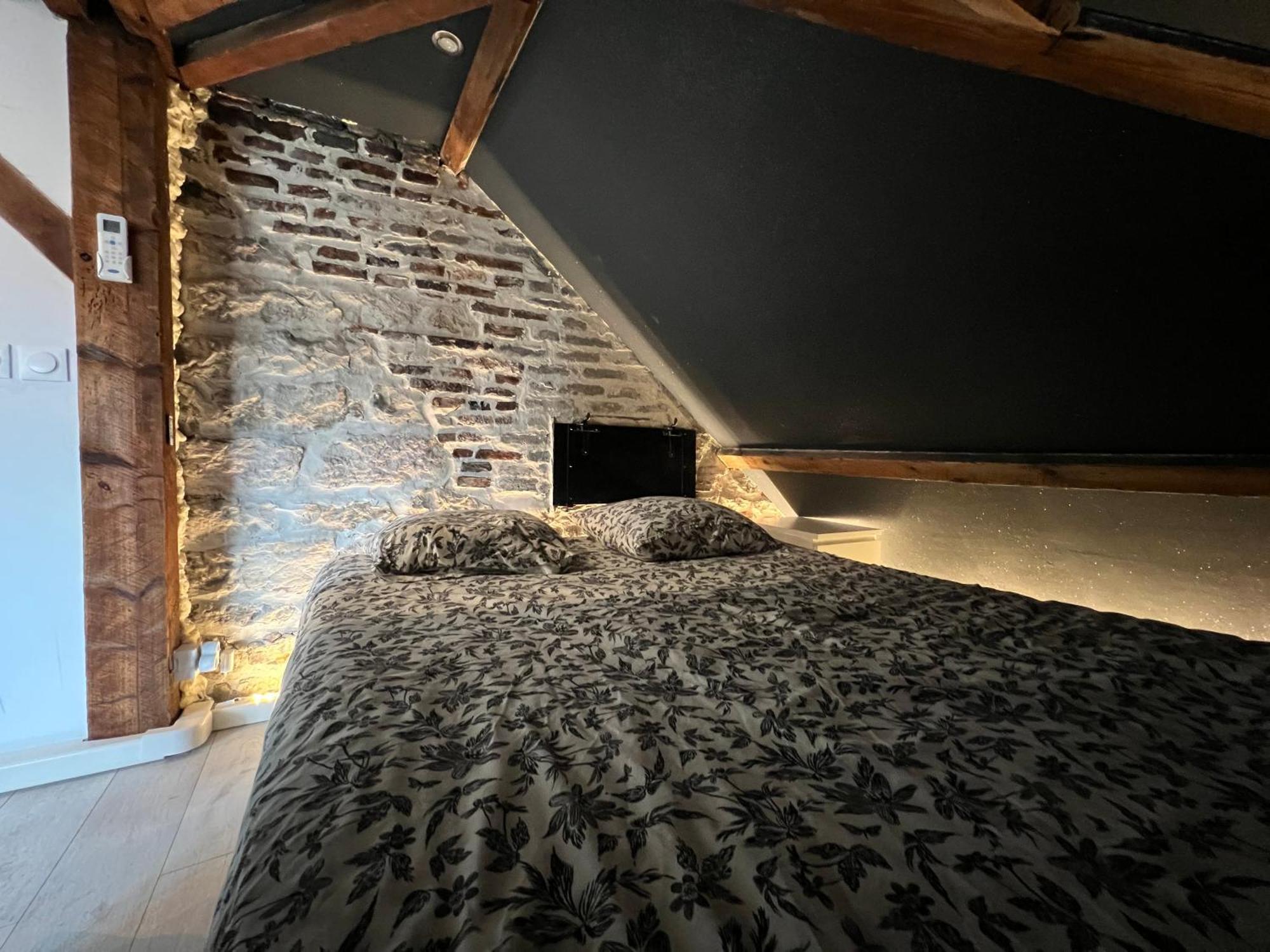 Bellevue Appartement Sous Les Toits Hypercentre Climatise Dole Kültér fotó