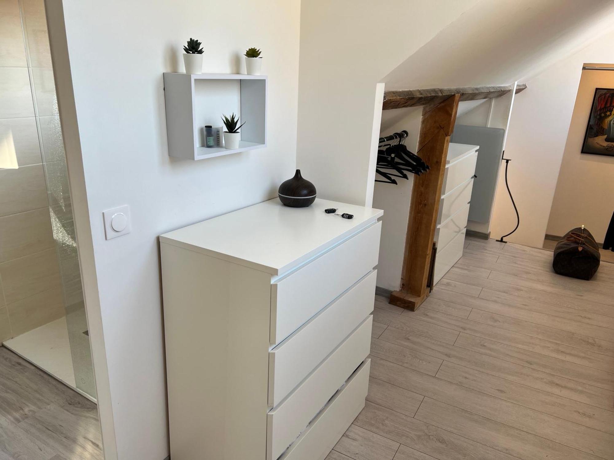 Bellevue Appartement Sous Les Toits Hypercentre Climatise Dole Kültér fotó